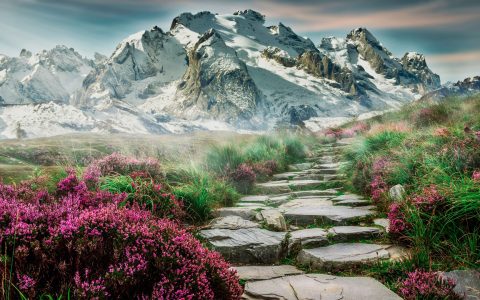 群山之间台阶石头小道鲜花盛开秀丽风景壁纸
