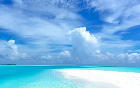 白色沙滩与清澈海水高清唯美风格手机壁纸