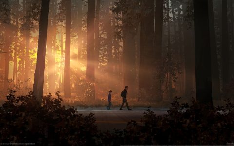 叙事冒险游戏奇异人生2兄弟森林静寂场景壁纸