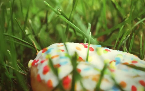美味可口的甜甜圈唯美风格高清图片壁纸【4】