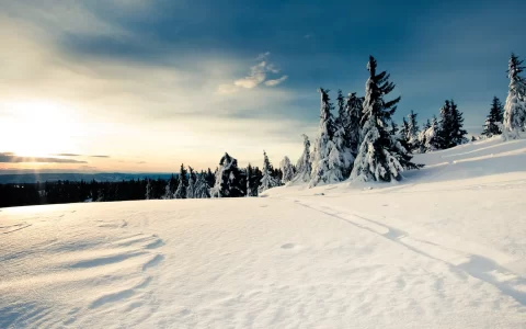 挪威的冬天极其寒冷 冰天雪地白茫茫一片风景壁纸