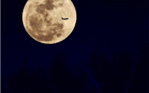 月圆之夜是团圆的日子 中秋节圆月唯美头像