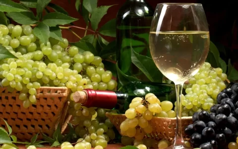 美味的葡萄酒与新鲜可口的葡萄高清摄影大图【10】