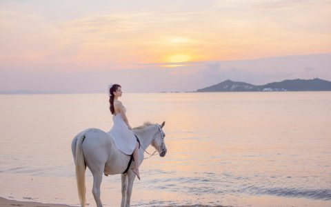 海边骑马的女孩刘奕宁写真美女壁纸