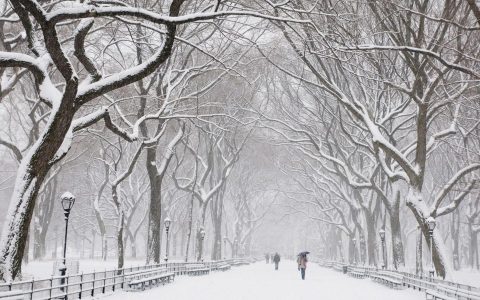 冬天街上美丽的雪景桌面壁纸