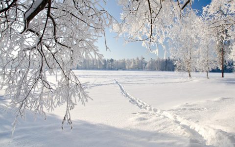 冬天原野白茫茫的雪景桌面壁纸高清下载