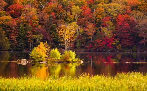 秋天美丽的森林湖泊美景壁纸