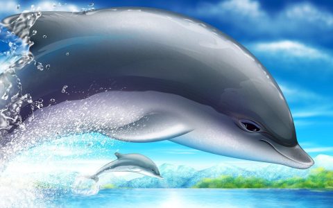 唯美高清海豚壁纸图片