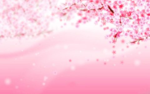 粉色梅花桌面背景图片