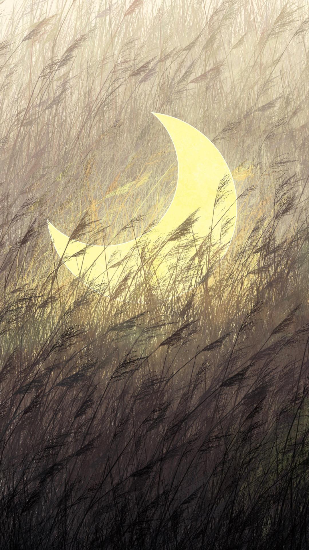 唯美草堆里弯月亮的创意手机壁纸插图