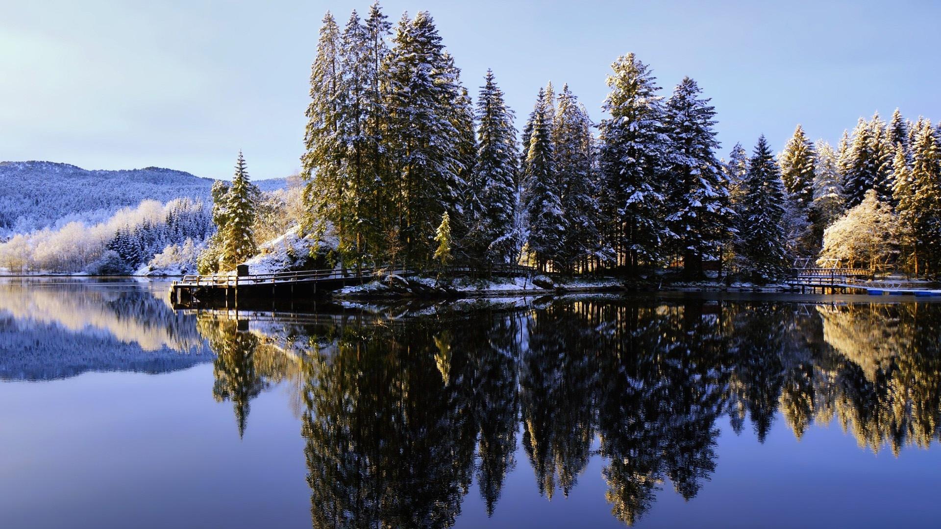 冬季,湖泊,森林,天空,自然桌面壁纸插图